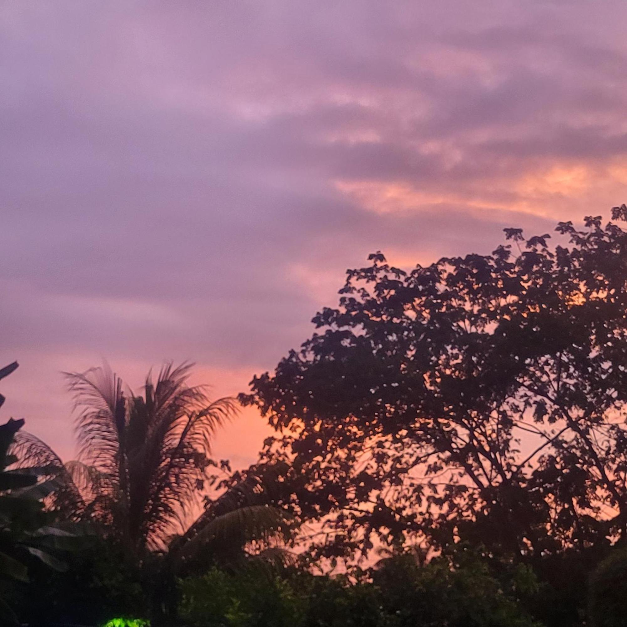 Madre Terra Acomodação com café da manhã Uvita Exterior foto
