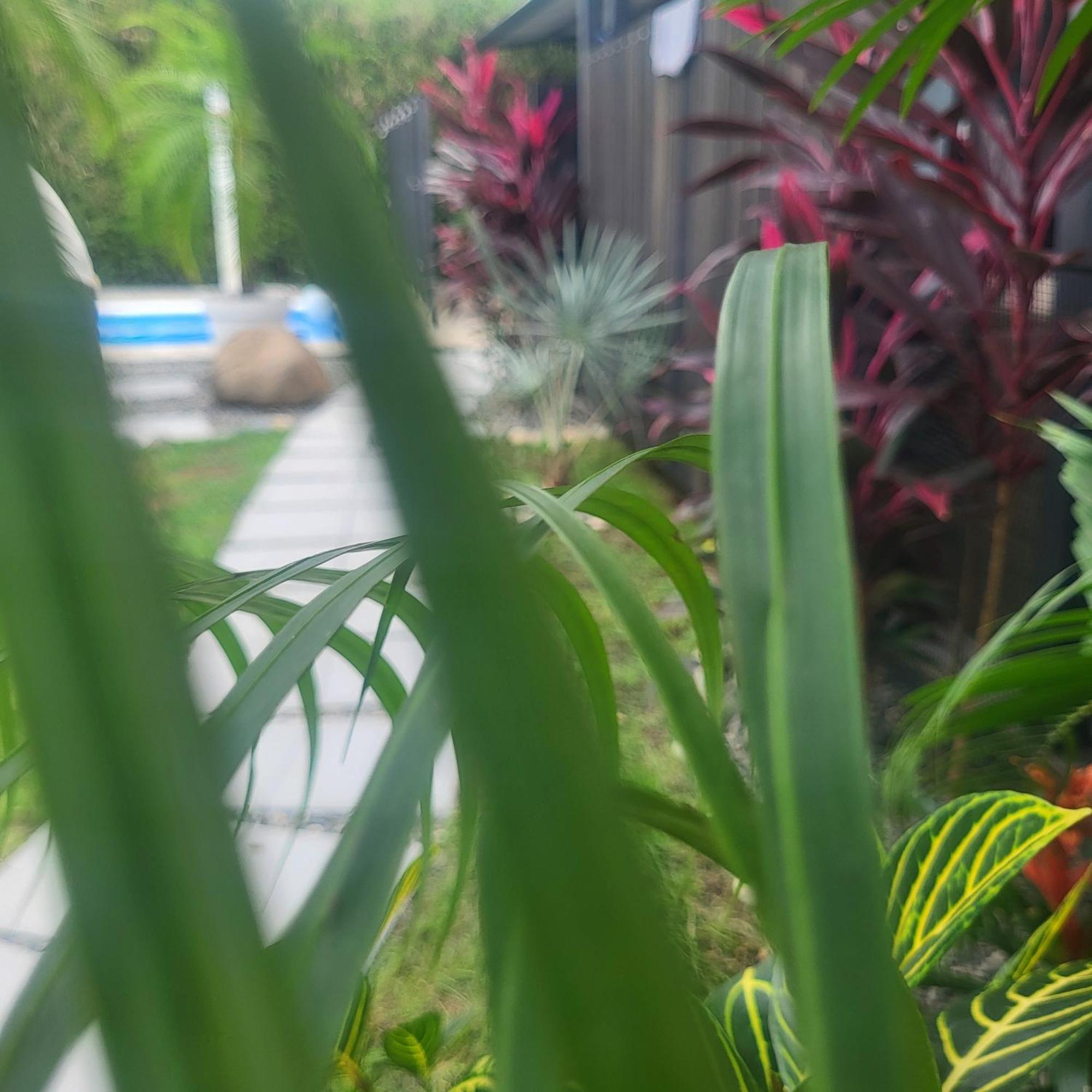 Madre Terra Acomodação com café da manhã Uvita Exterior foto