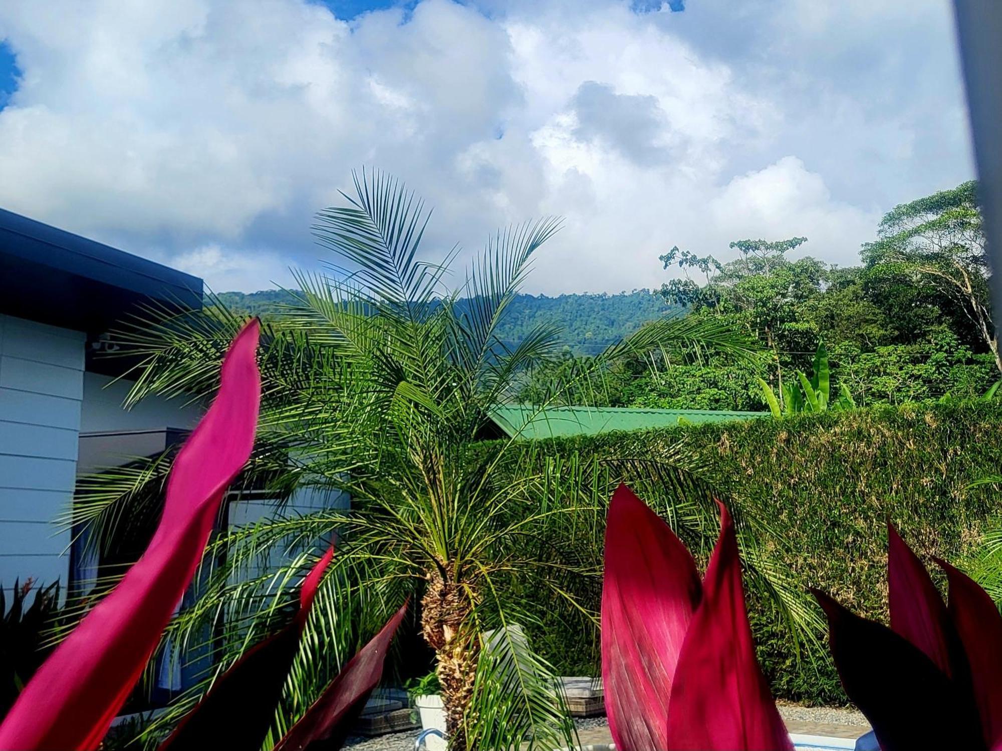 Madre Terra Acomodação com café da manhã Uvita Exterior foto